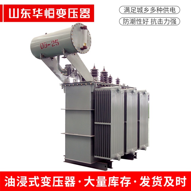 S11-10000/35巴马巴马巴马电力变压器厂家